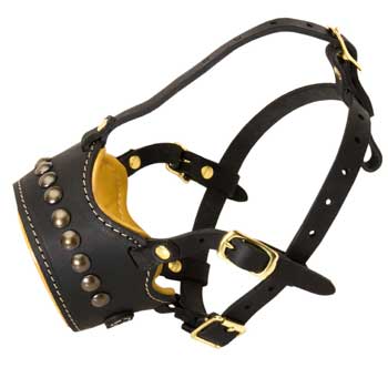 Padded Muzzle for Black Russian Terrier