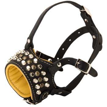 Adjustable Leather Black Russian Terrier Muzzle with Studs for Walking Dog 