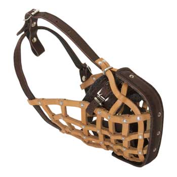 Black Russian Terrier Muzzle Leather Mesh for Walking and Training