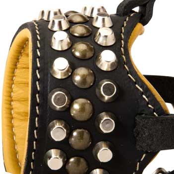 Nappa Leather Padded Black Russian Terrier for Dog Walking
