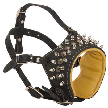 Walking Training Designer Black Dog Muzzle for Black Russian Terrier