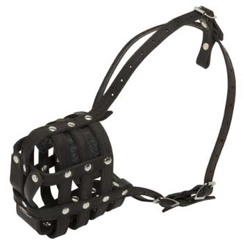 Leather Cage Black Russian Terrier Muzzle Padded