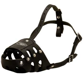 Anti Barking Black Russian Terrier Muzzle Leather for Walking Dog