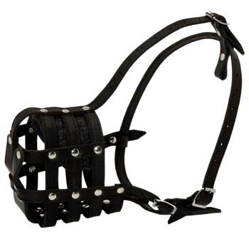 Black Russian Terrier Muzzle Leather Cage for Daily Walking