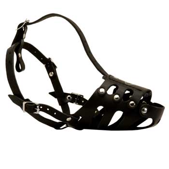 Leather Black Russian Terrier Well-Fitting Muzzle