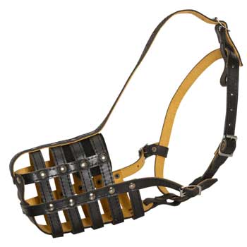 Adjustable Muzzle for Black Russian Terrier