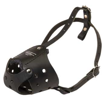 Light in Weight Anti-Barking Black Russian Terrier Muzzle