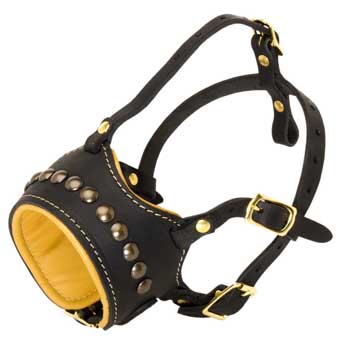 Black Russian Terrier Muzzle for Walking
