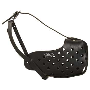 Safe Leather Muzzle for Black Russian Terrier Walking