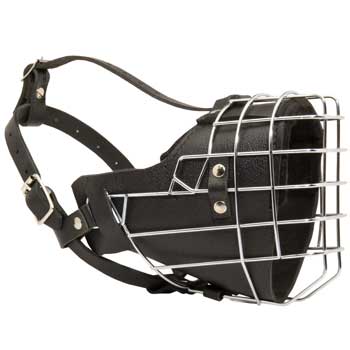 Padded on the Nose Black Russian Terrier Muzzle