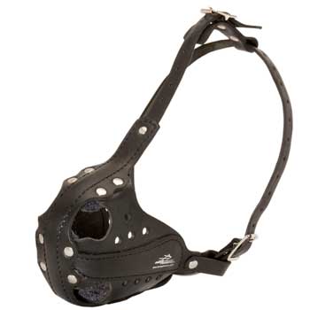 Sof Leather padded Black Russian Terrier Muzzle